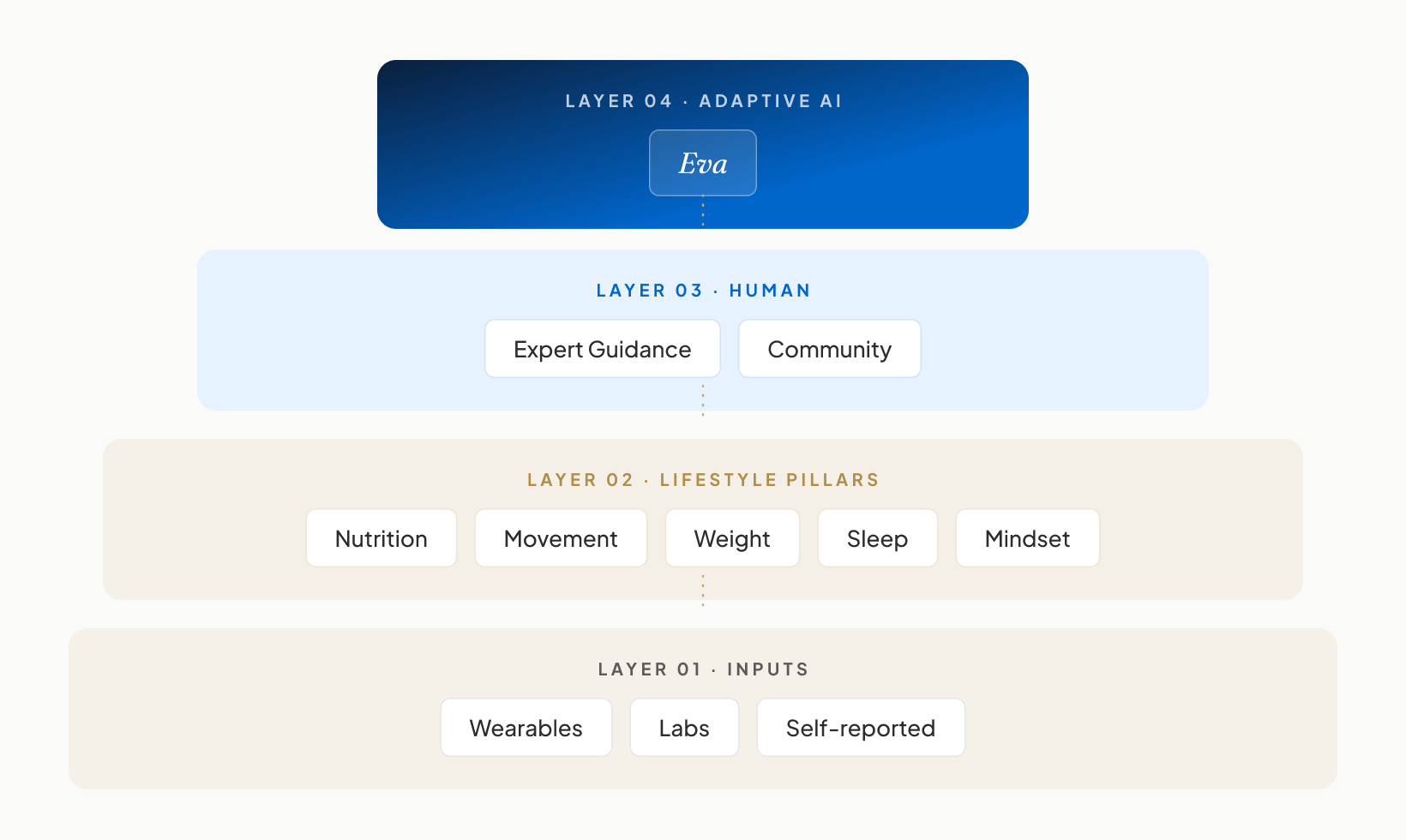 The ResetRx system — inputs, lifestyle pillars, human guidance, and Eva working in concert