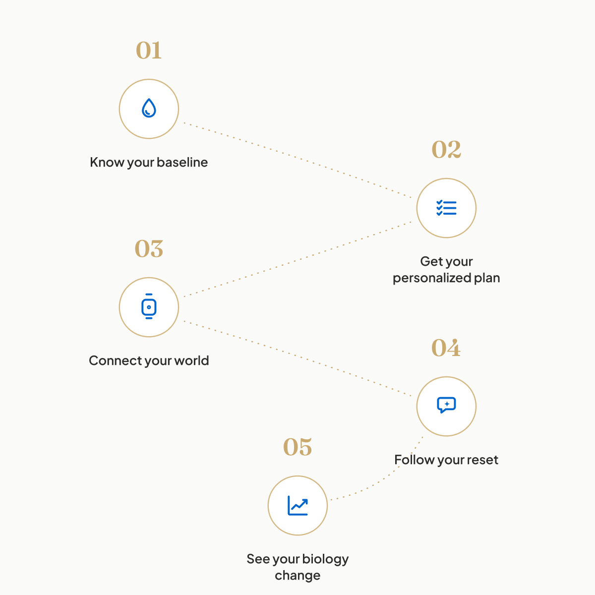 How ResetRx works — five steps from choosing a plan to seeing your biology change